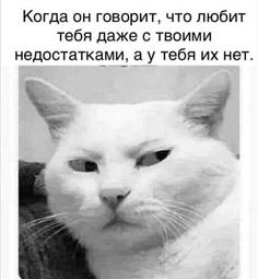   - 8  2023  11:06