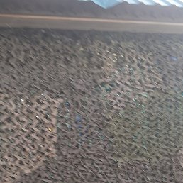 �������, �������, 37 ���