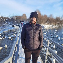 ������, �����������, 37 ���