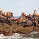 ���� �������, �����������, 53 ���� - ��������� 10 ���� 2023 � ������ ���� ����������
