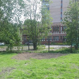 �����, �����-���������, 33 ����