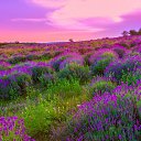 ���� Lina, ������, 41 ��� - ��������� 9 ������� 2023 � ������ ���� ����������