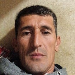 �����, ����������, 41 ���