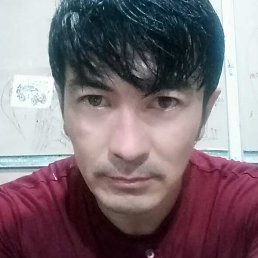 ����, ��������, 37 ���