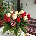���� �����, ʸ���, 50 ��� - ��������� 21 �������� 2023
