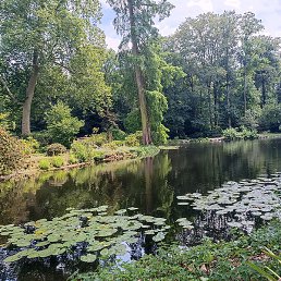 ������, ������, 62 ����