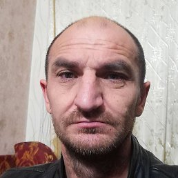 �������, �����������, 43 ����