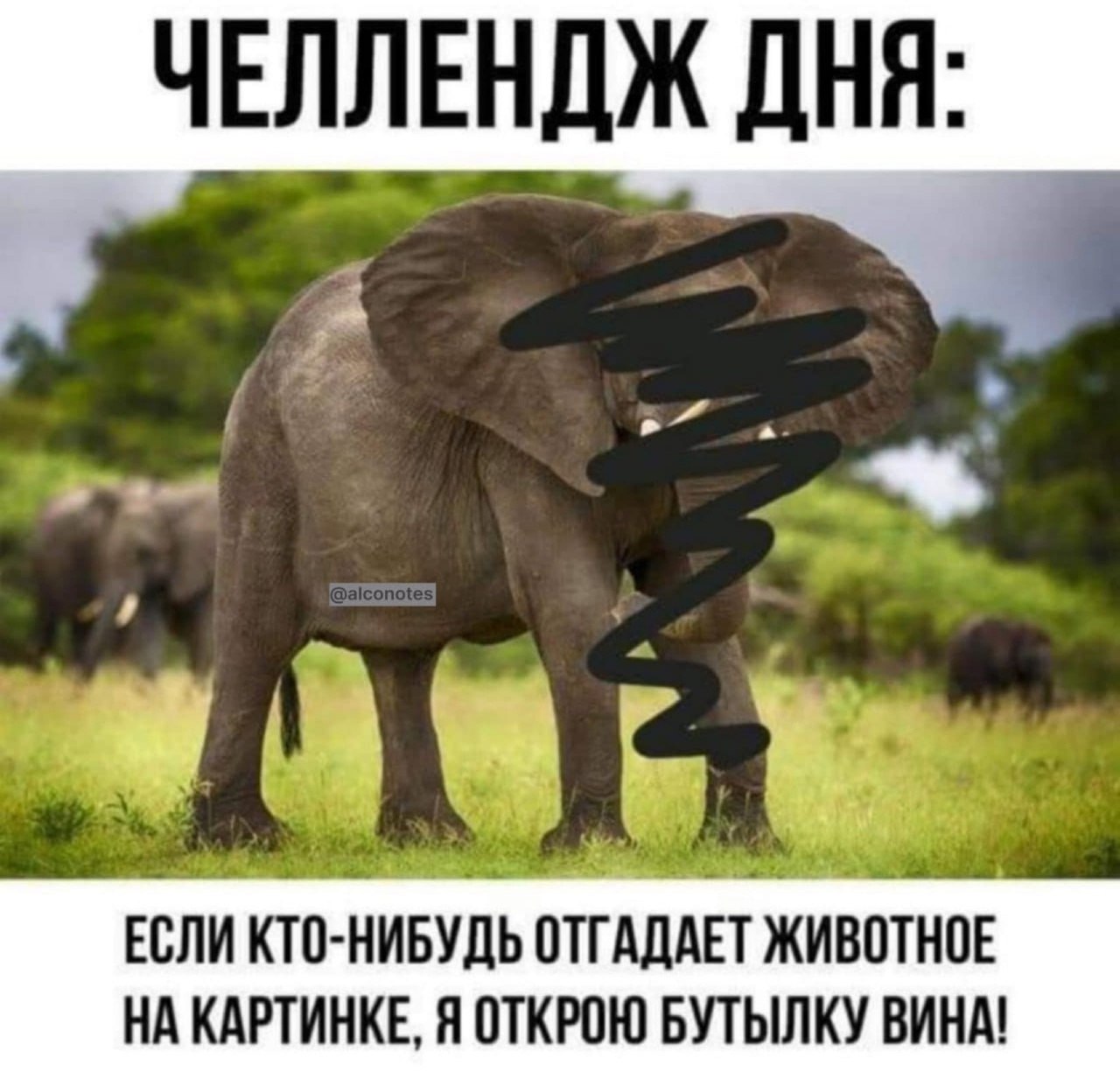  - 19  2023  10:10