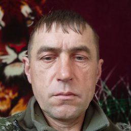 �������, ������, 51 ���