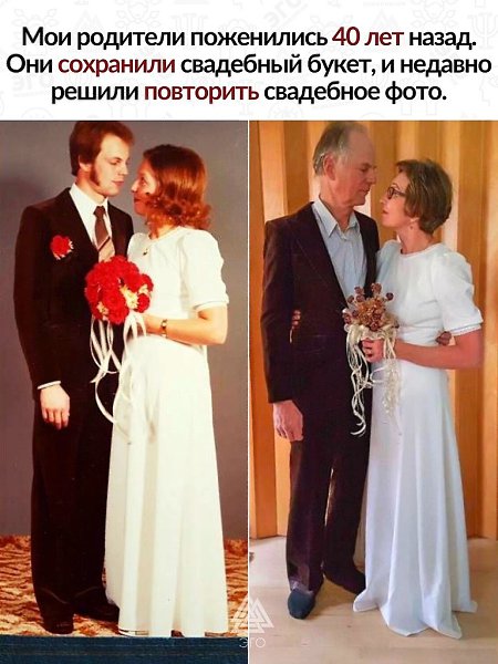 Из любовь так же крепка, как эти цветы. Прекрасно, что спустя столько лет они всё так же смотрят ...