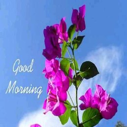 Xxx, �����������, 37 ���