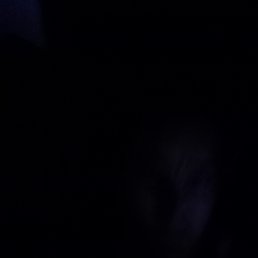 ���� ���������, ������, 47 ��� - ��������� 8 ���� 2023