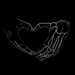 Wolf, �����, 20 ���