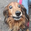 ���� �������, ������, 61 ��� - ��������� 14 �������� 2023 � ������ ���� ����������