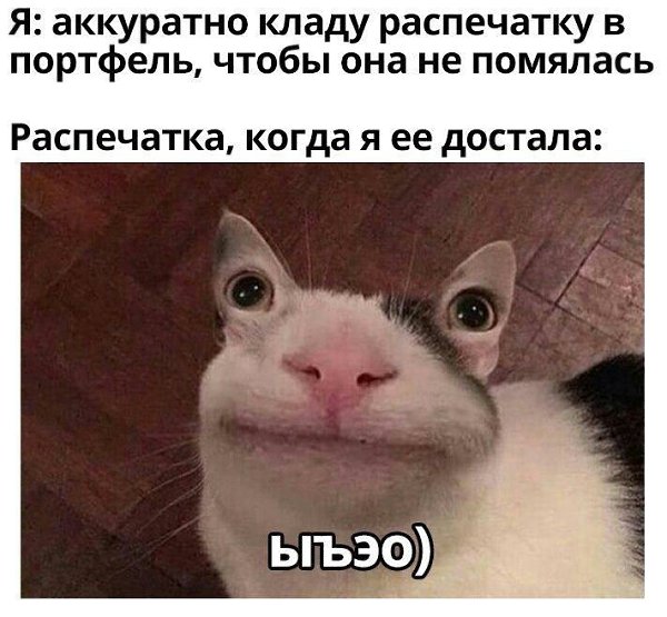    - 20  2023  16:37