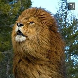 ���������, ������, 30 ���