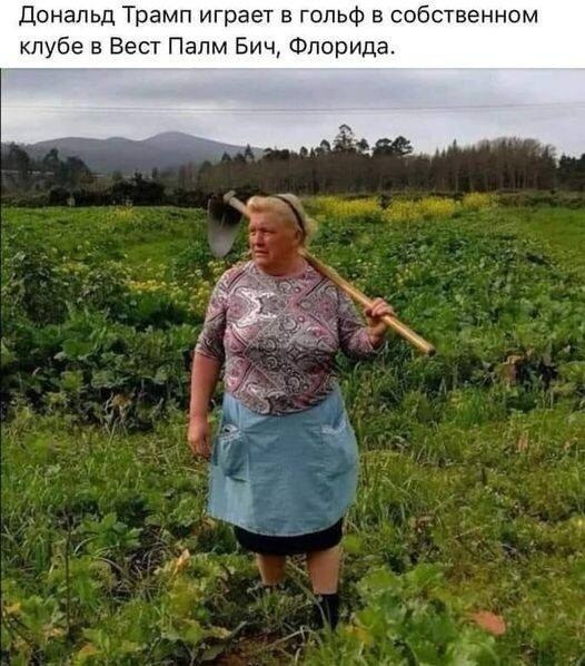   - 2  2023  19:16