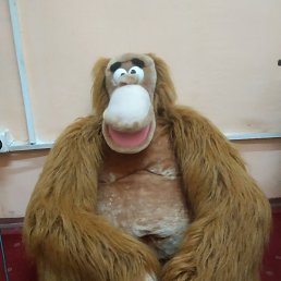 ����, ������, 38 ���