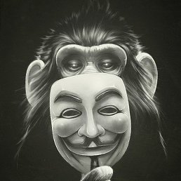 ����, �������, 48 ���