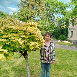 ���� �����, ������, 52 ���� - ��������� 29 ���� 2023