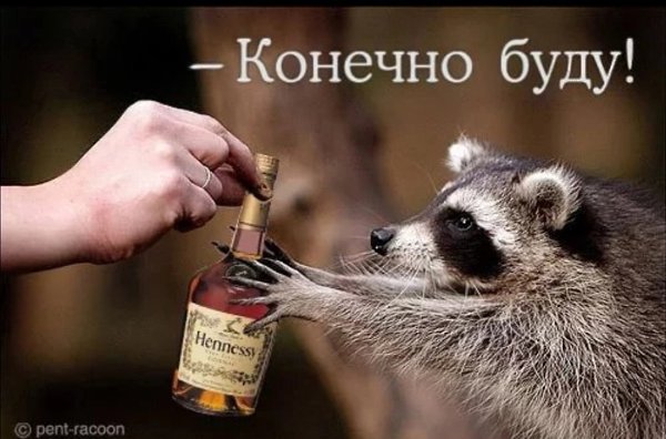  - 2  2023  05:49