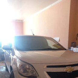 ����, �����-���������, 40 ���