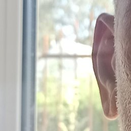 �������, ������, 58 ���