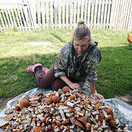 ������, ������, 39 ���