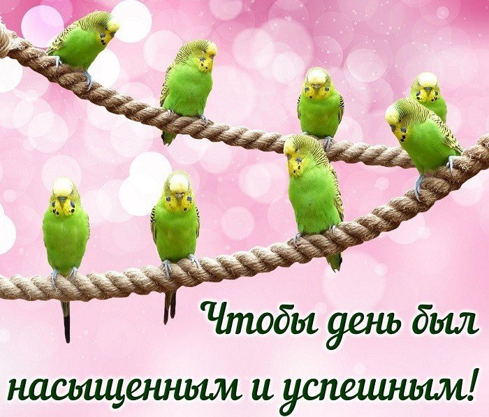   - 7  2023  12:52