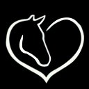 ���� ������, ������, 32 ���� - ��������� 8 ������� 2023 � ������ ���� ����������