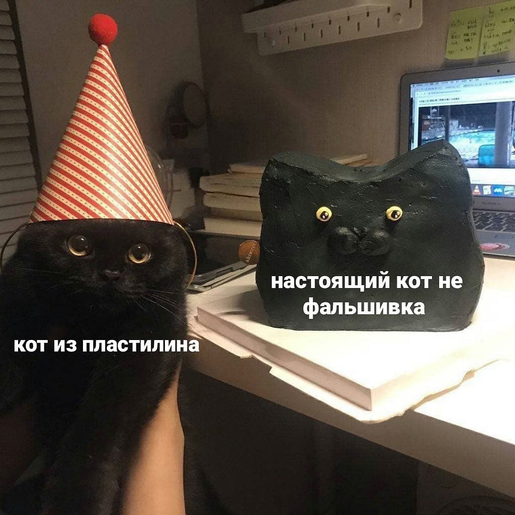    - 23  2023  04:34