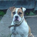 ���� ������, ������, 45 ��� - ��������� 17 ����� 2023