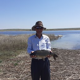 ���� ���������, ���, 50 ��� - ��������� 18 ������ 2023