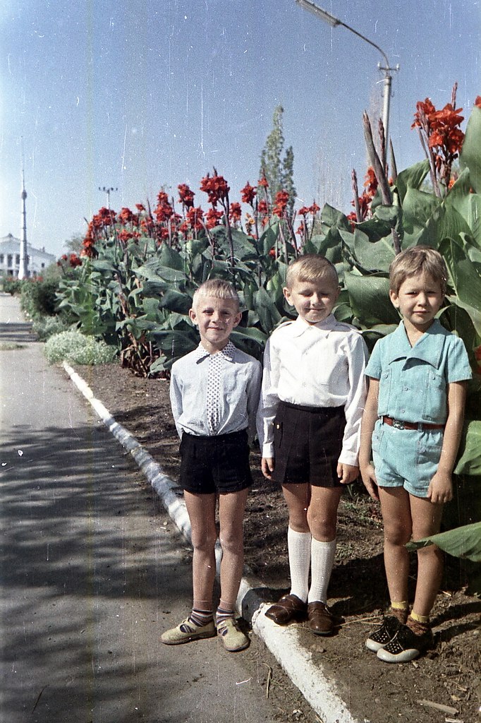 .    "". 1974 .  :   ...