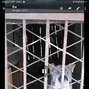 ���� ��������, ������, 39 ��� - ��������� 14 ������� 2023 � ������ ���� ����������