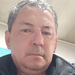 �����, ���������, 56 ���