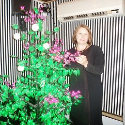 ���� �����, ��������, 53 ���� - ��������� 8 ����� 2023