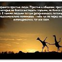 ���� ���, ������, 46 ��� - ��������� 11 �������� 2023 � ������ ���� ����������