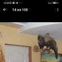 ���� �����, ������, 49 ��� - ��������� 21 ������� 2023 � ������ ���� ����������