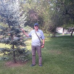 ���� �������, ������, 55 ��� - ��������� 5 ����� 2023