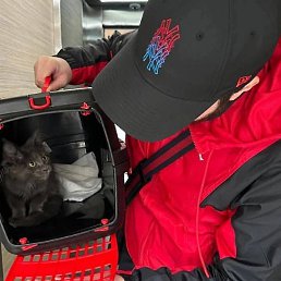 ����, �����������, 26 ���