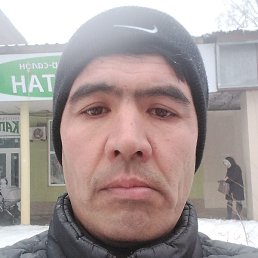 ���������, ���������, 43 ����