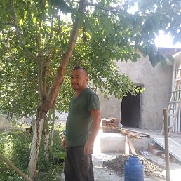 ����, �������, 34 ����