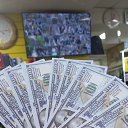 ���� �����, ������, 39 ��� - ��������� 24 �������� 2023 � ������ ���� ����������