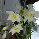���� ������, ������, 67 ��� - ��������� 2 ������� 2023 � ������ ���� ����������
