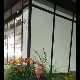 ���� ����, ������, 49 ��� - ��������� 6 ���� 2023