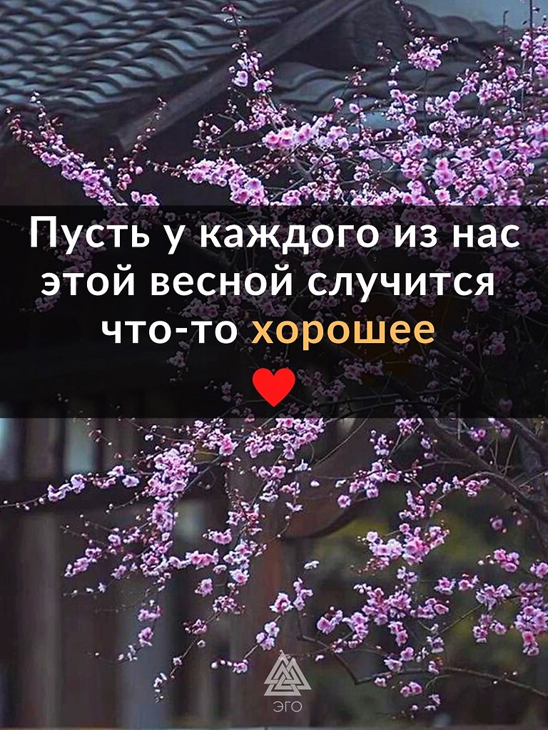  !      ,       ...