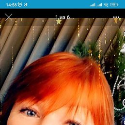 ������, ���������, 55 ���