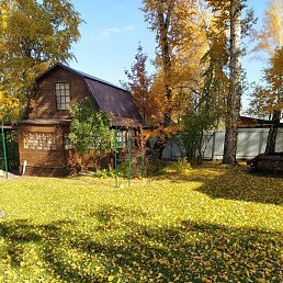 �������, �������, 64 ����