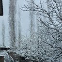 ���� Nemo, �������, 37 ��� - ��������� 25 ���� 2023